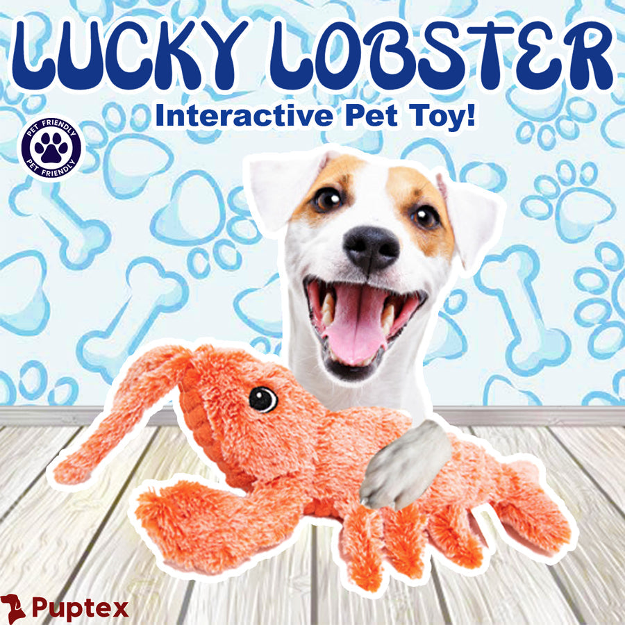Lucky Lobster™ - Interactive Dog Toy