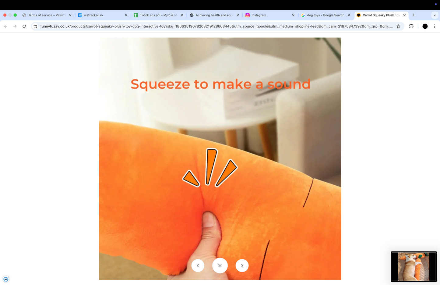 Carrot Squeaky Plush Toy Dog Interactive Toy