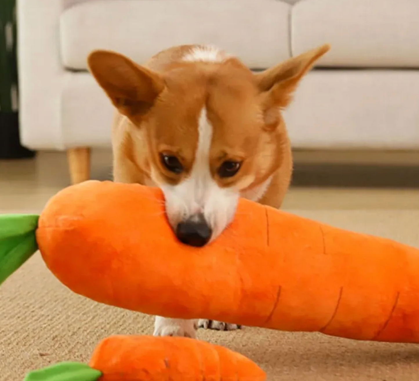 Carrot Squeaky Plush Toy Dog Interactive Toy