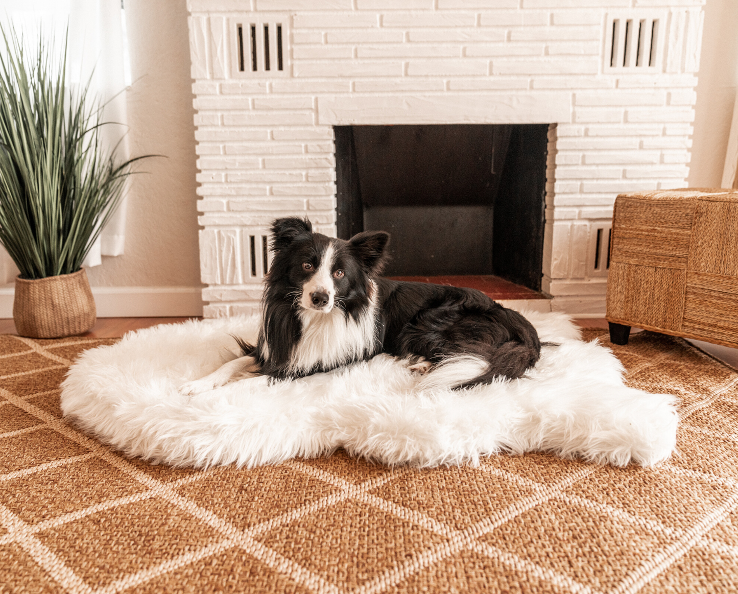 Mr. Lush - Faux Fur Orthopedic Bed