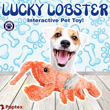Lucky Lobster™ - Interactive Dog Toy
