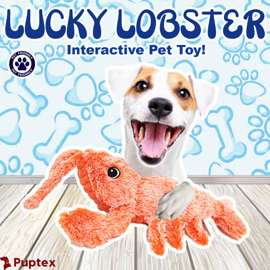Lucky Lobster™ - Interactive Dog Toy
