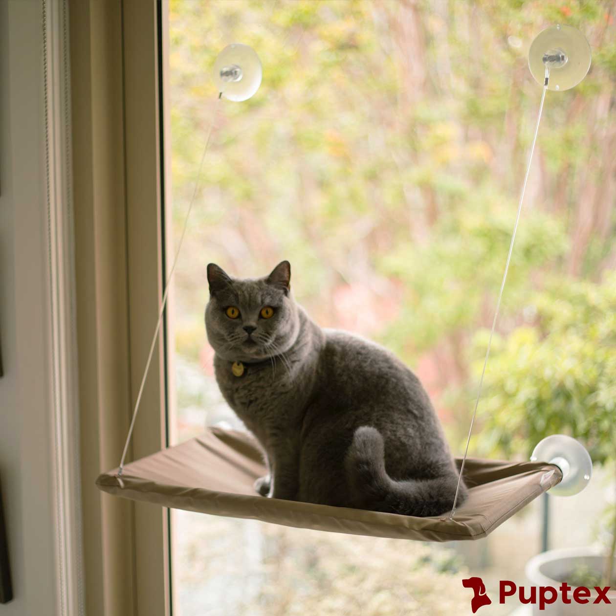 Kitty Cloud™ - Cat Window Hammock