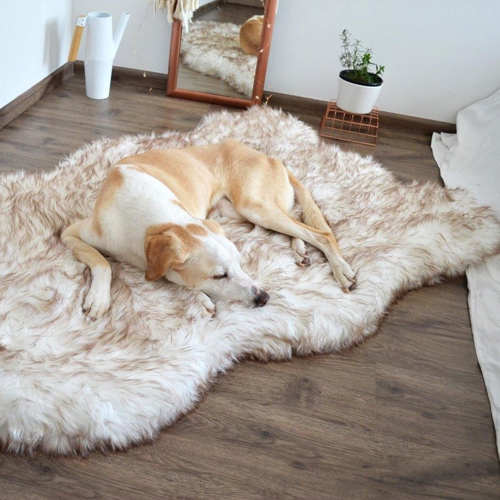 Mr. Lush - Faux Fur Orthopedic Bed
