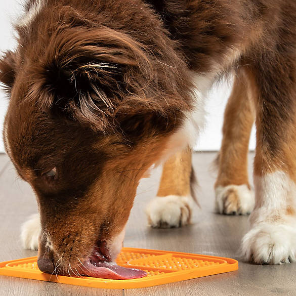 Licky Pad™ - Slow Feeder