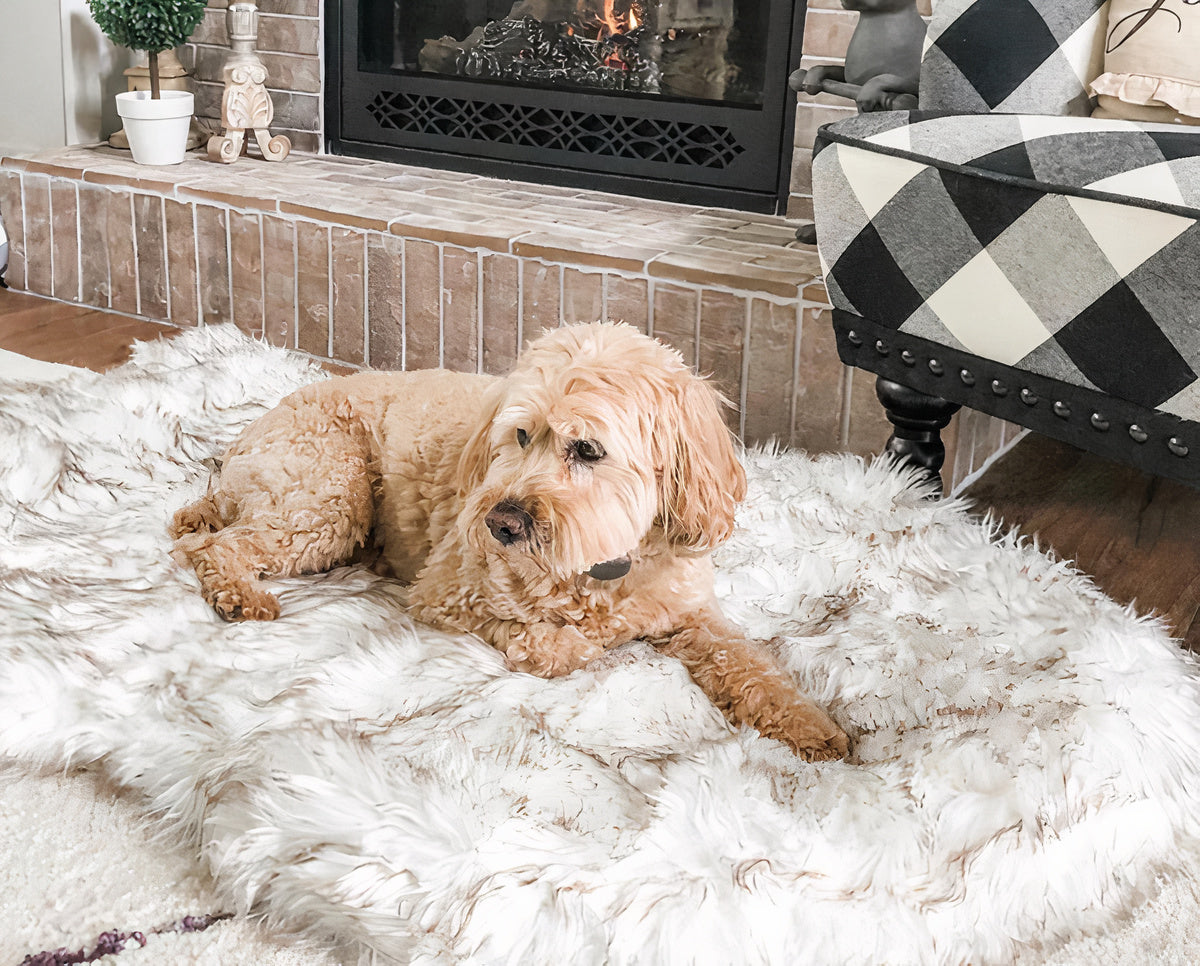 Mr. Lush - Faux Fur Orthopedic Bed