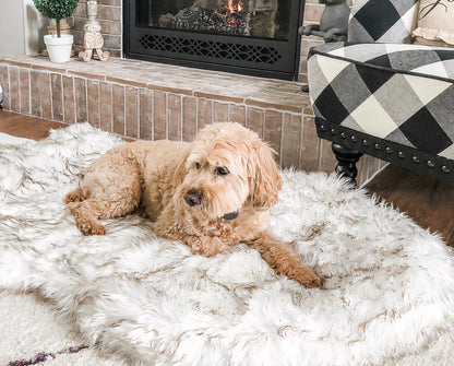 Mr. Lush - Faux Fur Orthopedic Bed