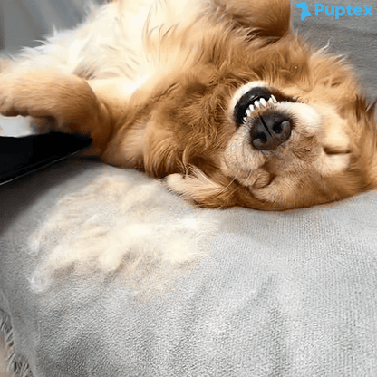 Groomie Glove™ - Fur Cleaner