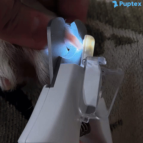 PawPro™ 2-in-1 Pet Nail Grinder & Clipper
