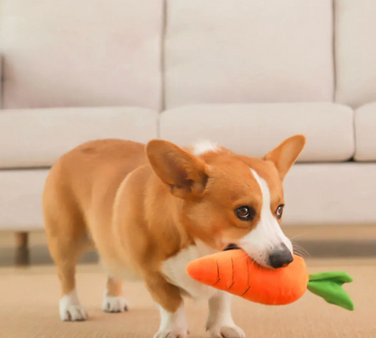 Carrot Squeaky Plush Toy Dog Interactive Toy