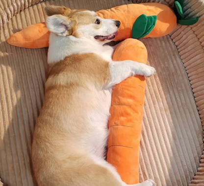 Carrot Squeaky Plush Toy Dog Interactive Toy