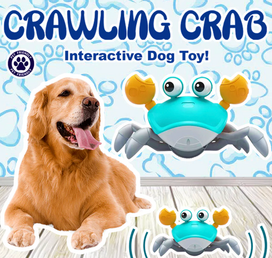Crawling Crab™ - Interactive Dog Toy