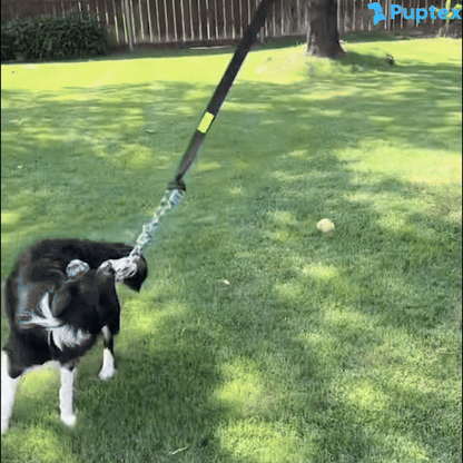 Bungee Tug™ - Interactive Dog Toy
