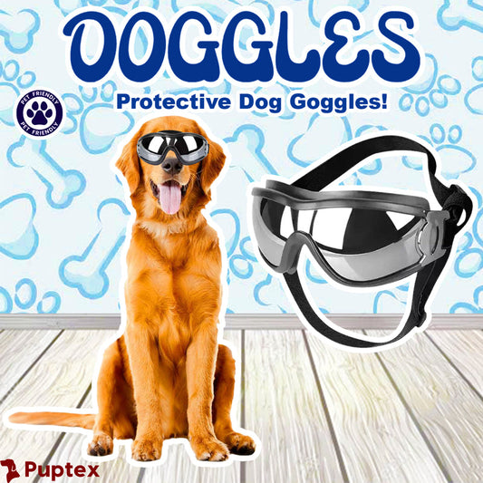 Doggles™ - Protective Dog Goggles