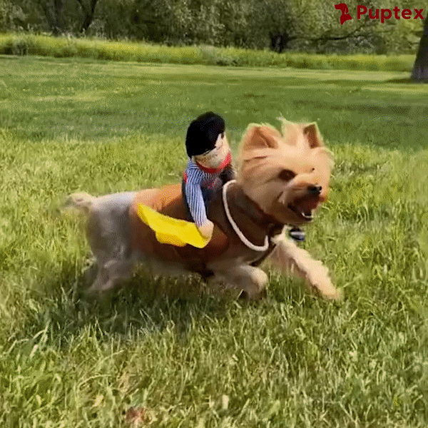 Crazy Cowboy™ - Dog Costume