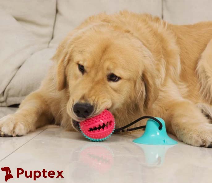 Doggy Tug™ - Interactive Dog Toy