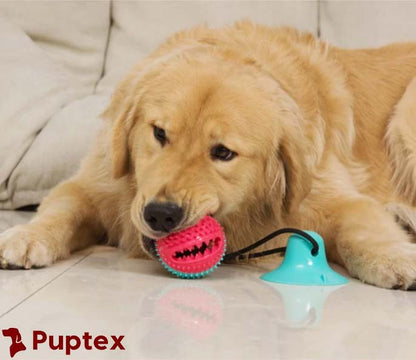 Doggy Tug™ - Interactive Dog Toy