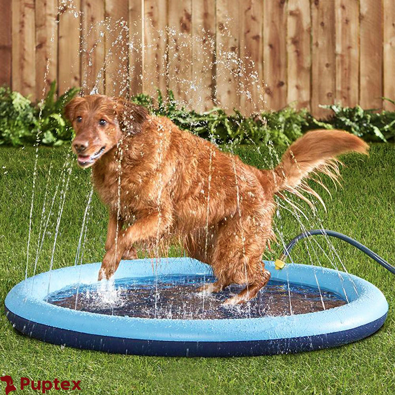 Sprinkly™  - Dog Sprinkler Pool
