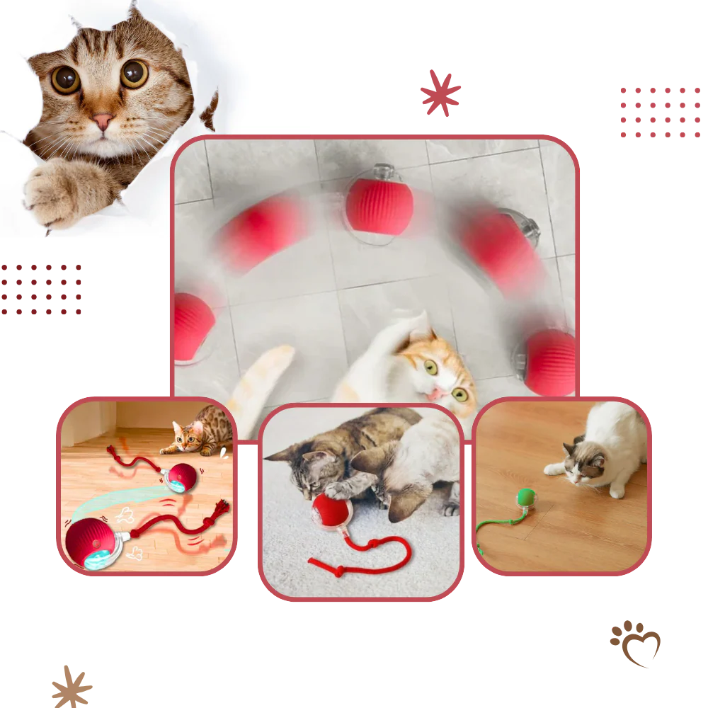 Smart Interactive Cats Ball Toy