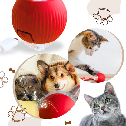 Smart Interactive Cats Ball Toy