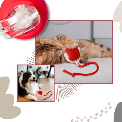 Smart Interactive Cats Ball Toy